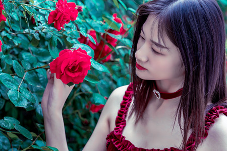 李强主持召开国务院常务会议